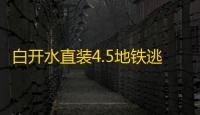 白开水直装4.5地铁逃生体验服