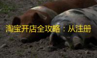 淘宝开店全攻略
：从注册到认证银行卡的详细步骤解析